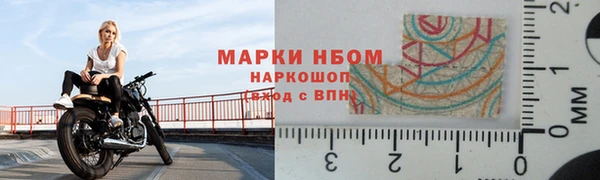 ГАЛЛЮЦИНОГЕННЫЕ ГРИБЫ Магас