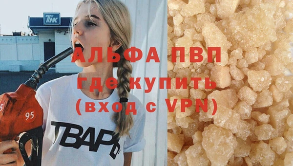 твердый Лагань