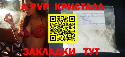 шишки Балашиха