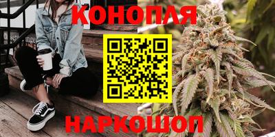 шишки Балашиха