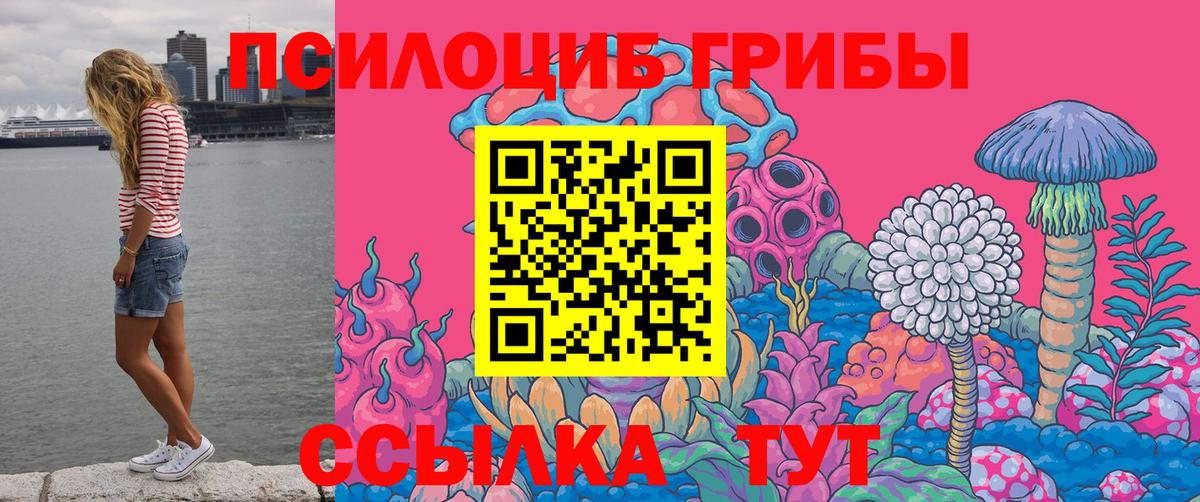 Галлюциногенные грибы MAGIC MUSHROOMS  купить закладку  Темрюк 