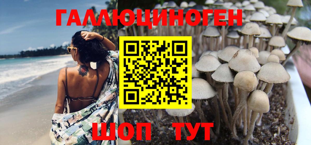 Галлюциногенные грибы Cubensis Темрюк