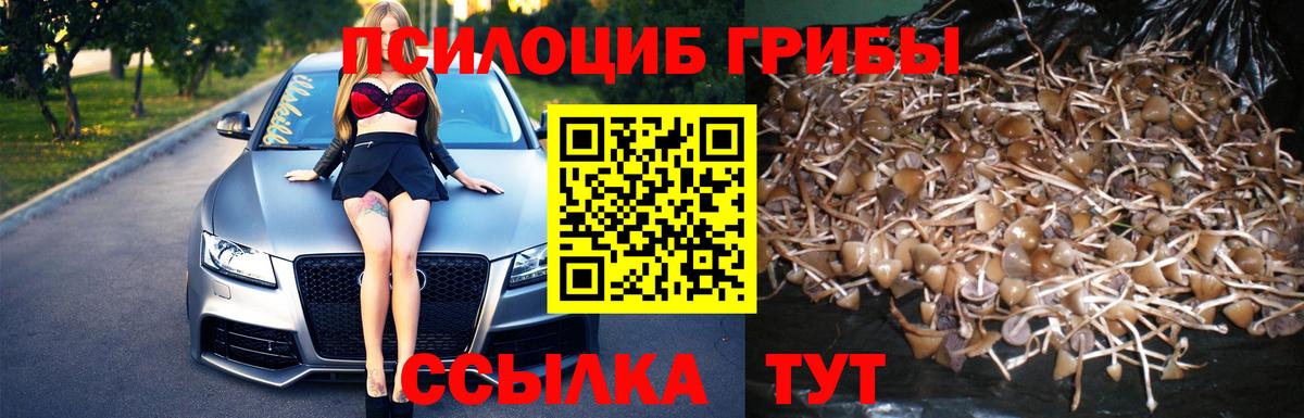 Галлюциногенные грибы мицелий Темрюк