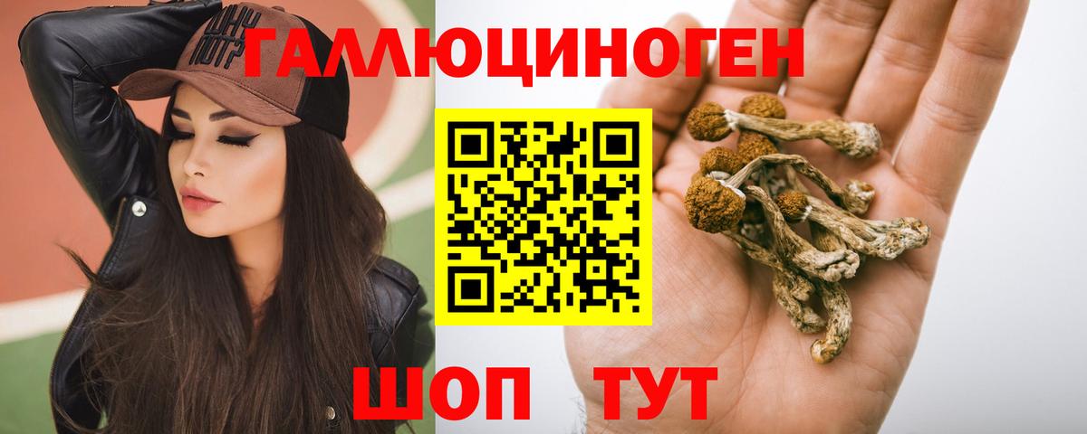 Галлюциногенные грибы MAGIC MUSHROOMS  Галлюциногенные грибы мицелий  Вход с VPN  Темрюк 